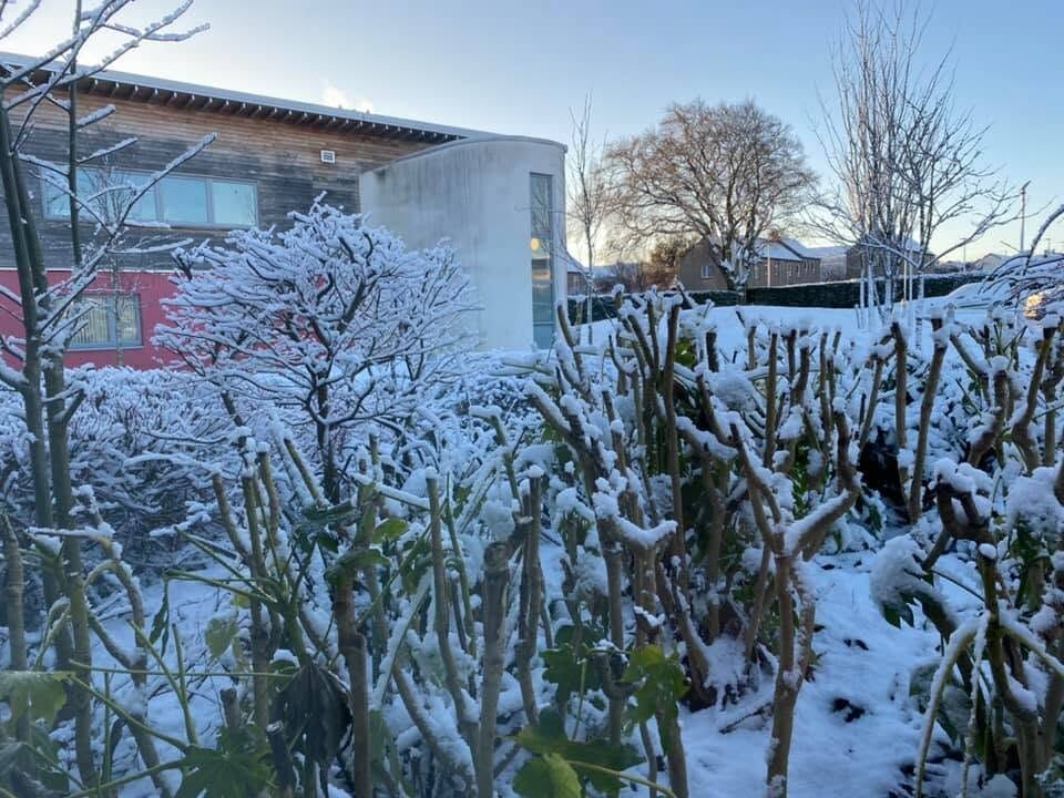 The Eastfield Medical Practice building and garden covered in snow on a bright winter morning